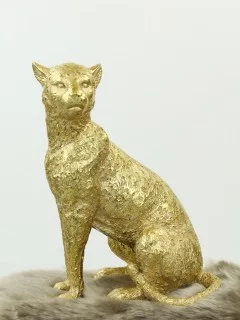 Majestátny gepard