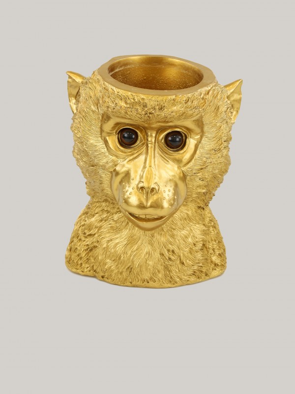 Obal Opica zlatá